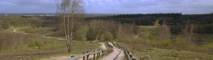 Aangelegde trap in de recreatiegebied Kwintelooijen