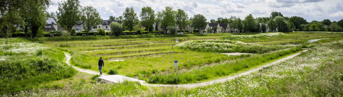 Een wandelaar in de Turweide in Veenendaal