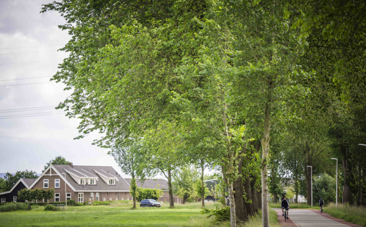 De Achterdijk, een weg in Bunnik